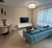 Obývací pokoj v 2-pokojovém bytě s podlahou s dřevěným dekorem a pohodlným sezením.