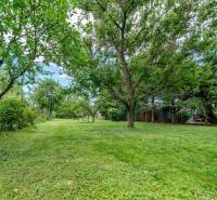 Zeleň a stromy na pozemcích pro bydlení na Okružní ulici v Bernolákově.