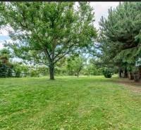 Zeleň a stromy na pozemku k bydlení v Bernolákově na Okružní.