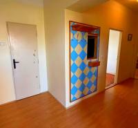 Chodba v rodinném domě s barevnou stěnou a podlahou s dřevěným dekorem.