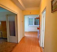 Chodba v rodinném domě s podlahou s dřevěným dekorem a obrazem na stěně.