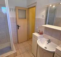 Koupelna v rodinném domě s umyvadlem, sprchovým koutem a obkladem.