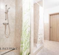 Koupelna s keramickými obklady, sprchovým koutem a dřevěnými dveřmi.