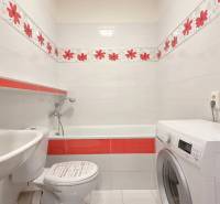 Koupelna s vanou, umyvadlem a pračkou v dvougarsonce.