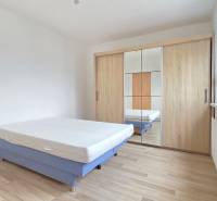 Dvojgarsonka s postelí, vestavěnou skříní a podlahou s dřevěným dekorem.