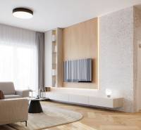 Obývací pokoj ve 4pokojovém bytě s podlahou s dřevěným dekorem, světlou sedačkou a TV na stěně.