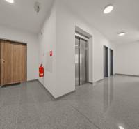 Vstupní chodba s dveřmi a výtahem ve 4-pokojovém bytě, podlaha s dřevěným dekorem.