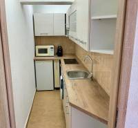 Kuchyně v 1-pokojovém bytě s dřevěným dekorem, mikrovlnkou a vestavěnými spotřebiči.