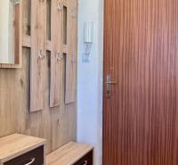 Vstupní chodba v 1-pokojovém bytě s věšákovou stěnou a dřevěným dekorem.