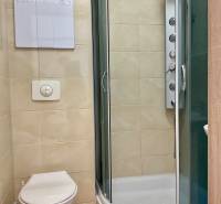 Koupelna se sprchovým koutem a toaletou v 1-pokojovém bytě.