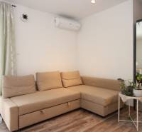 Pohovka v 1-pokojovém bytě s květinami, zrcadlem a podlahou s dřevěným dekorem.