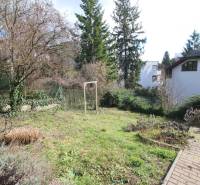 Zahrada s trávníkem a stromy na Lichardově v Bratislavě - Starém Městě.