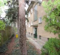 Exteriér budovy na Lichardově ulici v Bratislavě - Staré Město, obklopený stromy a keři.