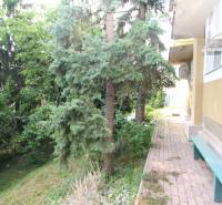 V Bratislavě na Lichardově ulici se u 1-pokojového bytu nachází lavička a stromy.