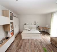 1+kk byt s postelí, sedačkou a skříní, podlaha s dřevěným dekorem.