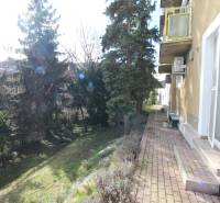 Exteriér s chodníkem a stromy v lokalitě Bratislava - Staré Město na Lichardově ulici.