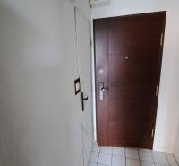 Vstupní dveře do 1-pokojového bytu s dlažbou a bílými stěnami.