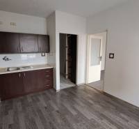 Kuchyně s tmavými skříňkami a podlahou s dřevěným dekorem v 1-pokojovém bytě.