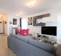 Obývací pokoj v 2-pokojovém bytě s šedou sedačkou, podlahou s dřevěným dekorem a televizorem.