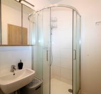 Koupelna s umyvadlem, sprchovým koutem a zrcadlovou skříňkou v 2pokojovém bytě.