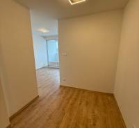 Chodba v 1-pokojovém bytě s podlahou s dřevěným dekorem a moderním svítidlem.