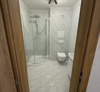 Koupelna v 1-pokojovém bytě se sprchovým koutem a keramickým obkladem.