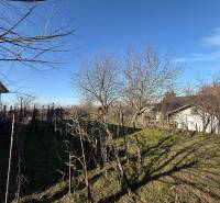 Pozemek pro bydlení na Cintorínské ulici ve Svätém Petru s ovocnými stromy.