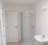 Koupelna s toaletou, sprchovým koutem a podlahou s dřevěným dekorem v rodinném domě.