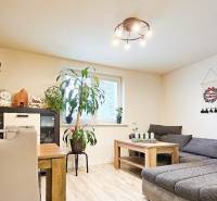 Obývací pokoj s pohovkou, jídelním stolem, pokojovými rostlinami a podlahou s dřevěným dekorem.