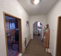 Chodba s kobercem a pokojovými rostlinami v rodinném domě.