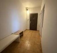 Interiér 3-pokojového bytu s podlahou s dřevěným dekorem, certifikát Ověřený člen.