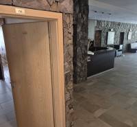 Kamenné stěny a dřevěné dveře vedoucí do kanceláře v 1-pokojovém bytě.