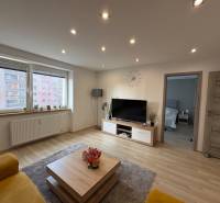 Světlý obývací pokoj v 2pokojovém bytě s podlahou s dřevěným dekorem a pohovkou.