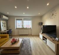 Obývací pokoj v 2-pokojovém bytě s podlahou s dřevěným dekorem, gaučem a televizorem.