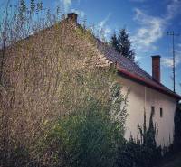 Rodinný dům v Horních Chlebanech obklopený hustou zelení a hustými stromy.