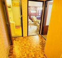 Chodba v 2-pokojovém bytě s podlahou s dřevěným dekorem a dveřmi do pokojů.