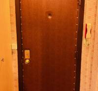 Vstupní dveře do 2pokojového bytu s dřevěným dekorem na podlaze.