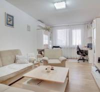 Obývací pokoj s pohovkou a TV v 3pokojovém bytě, podlaha s dřevěným dekorem.