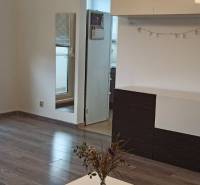 Obývací pokoj v 2-pokojovém bytě s podlahou s dřevěným dekorem a nábytkem.