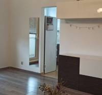 Obývací pokoj v 2pokojovém bytě s podlahou s dřevěným dekorem, bílým nábytkem a zrcadlem.