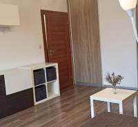 Obývací pokoj v 2-pokojovém bytě s podlahou s dřevěným dekorem a moderním nábytkem.