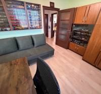 Pokoj s pohovkou, vitrínou s modely a podlahou s dřevěným dekorem v 3-pokojovém bytě.