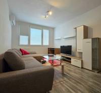 Obývací pokoj dvoupokojového bytu s rohovou sedačkou a podlahou s dřevěným dekorem.