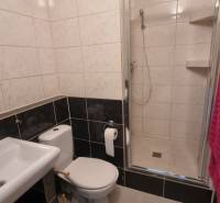 Koupelna s umyvadlem, toaletou a sprchovým koutem v 1-pokojovém bytě.