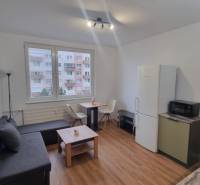 Obývací pokoj jednopokojového bytu s pohovkou, stolem a podlahou s dřevěným dekorem.