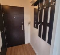 Předsíň s podlahou s dřevěným dekorem a tmavým nábytkem, 1-pokojový byt.