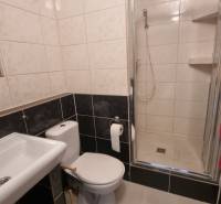 Koupelna se sprchovým koutem a toaletou v 1-pokojovém bytě, laděná v tmavých tónech.