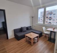 Obývací pokoj v jednopokojovém bytě s pohovkou, stolem, židlí a podlahou s dřevěným dekorem.