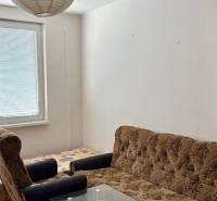 Garsonka s pohovkou, křeslem a stolkem, podlaha s dřevěným dekorem, papírové svítidlo.