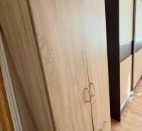 Skříň v garsonce s podlahou s dřevěným dekorem a posuvnými dveřmi.